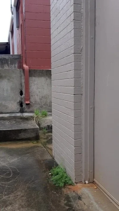 Rate my cock,text me,9184700151,me and my girl