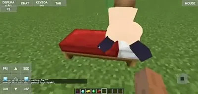 yCokkixyz ensina a tranzar no minecraft