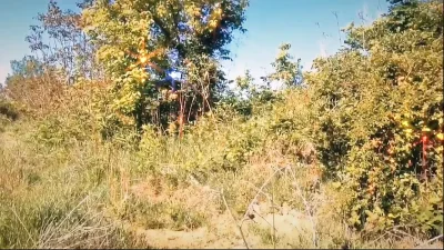 I show my boobs again in nature