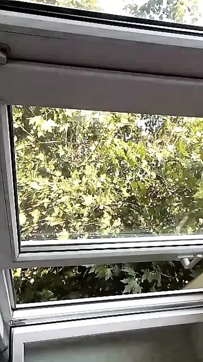 I know you want my big ass